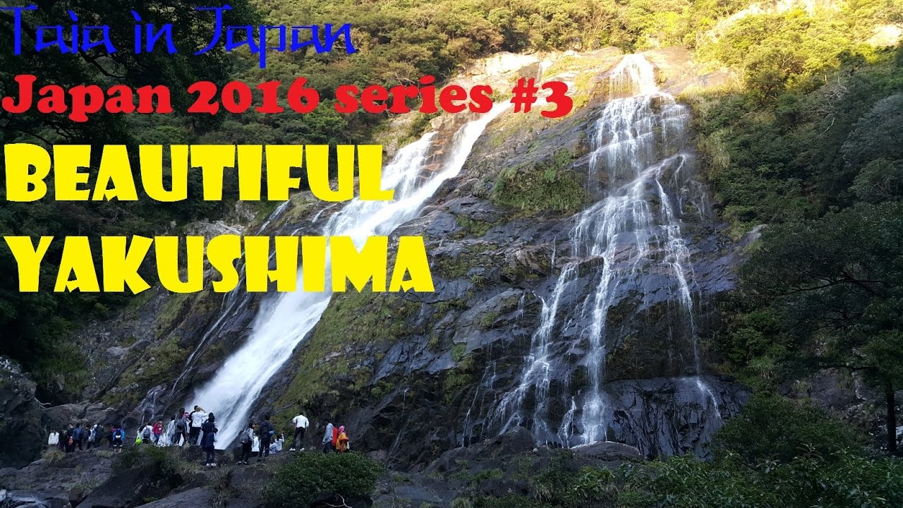 Japan 2016 Part 3: Beautiful Yakushima