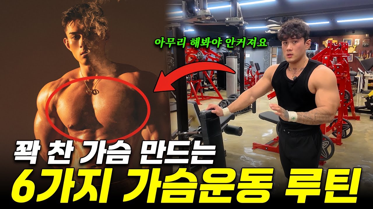 당신 가슴이 더이상 커지지 않는 이유ㅣ가슴전체 펌핑감 보장하는 6가지 가슴운동 루틴 대공개