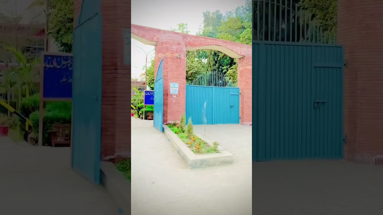 GOVT. Graduate College Layyah🖤