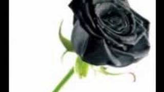 Video thumbnail of "la rose noir"
