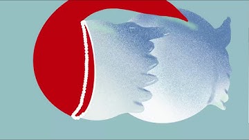 Following a gal shir tutorial on digital drawing on procreate