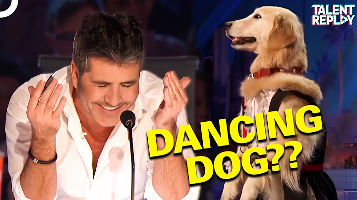This Dog’s Dance Moves Will BLOW Your Mind! | America's Got Talent