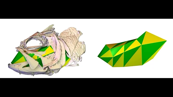 Brown's XROMM innovation