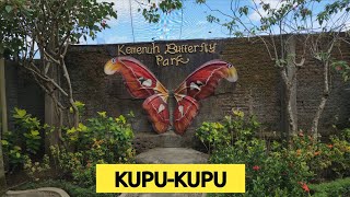 Kemenuh Butterfly Park, Bali