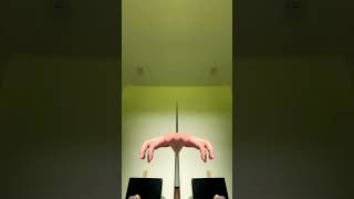 The hand spider