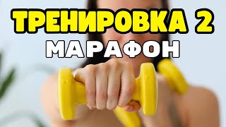 ИДЕАЛЬНАЯ программа тренировок. ВЕРХ ТЕЛА. The ULTIMATE Full Upper Body Workout Routine. DO THIS!