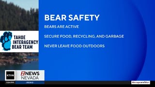Black bears are waking up as snow melts across the region