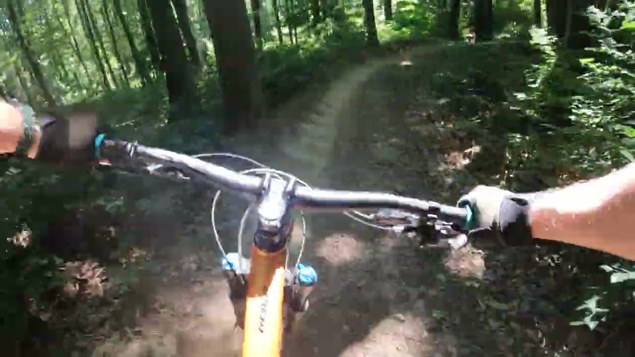 Weidlingbach Trailpark - Fun Line 2025