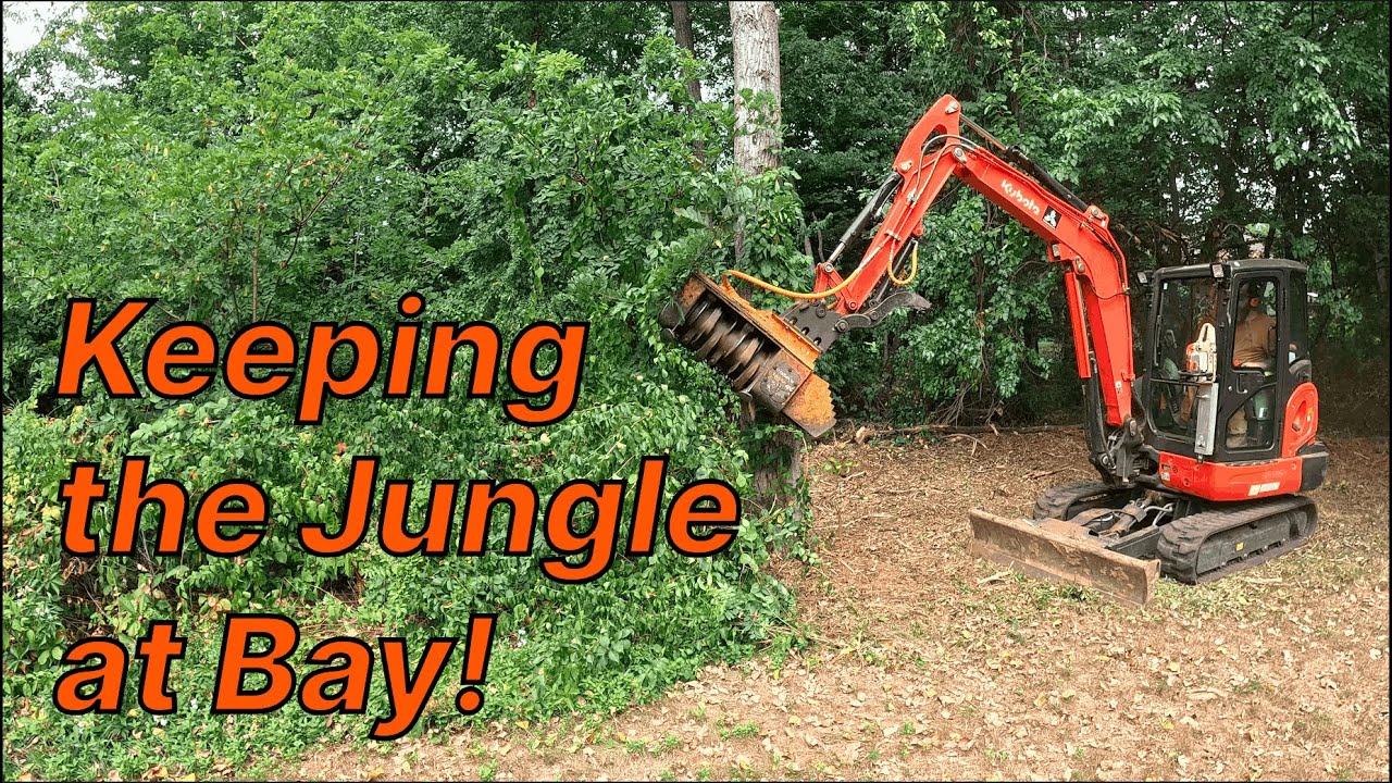 Keeping the Jungle at Bay with Forestry Mulching!