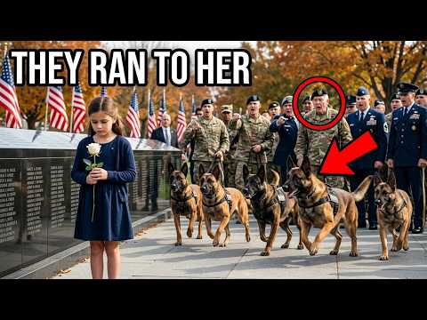 Nobody Noticed the Quiet Girl at the Memorial Until the K9s Ran to Her