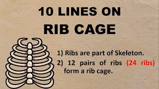 10 Lines on Rib Cage in English | Few Lines on Rib Cage | About Rid Cage in English