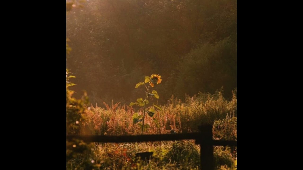 Bon Iver | 22, A Million | Zach Bryan Type beat ~ Strange Desire