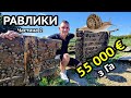 Равликова ферма круче СОНЯШНИКА😳 На чому ще можна мати 55000€ виручки?