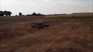 pandora warrior walkera erstflug