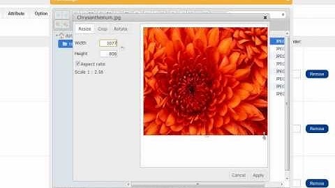 OpenCart Enhanced Image and File Manager Overview