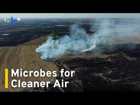 youtube影片:Agricultural Microbes May Cut Haze of Thailand's 'Burning Season'