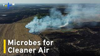 Agricultural Microbes May Cut Haze of Thailand's 'Burning Season' ｜TaiwanPlus News