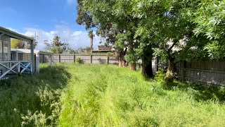 We NEED GOATS.... not MOWERS! TALLEST grass of the YEAR gets makeover....