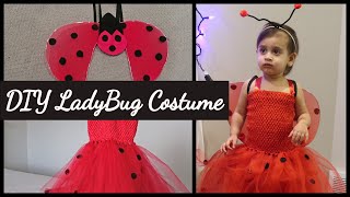 Diy Ladybug Halloween Costume