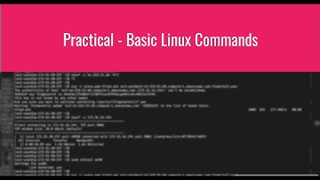 Linux most useful commands for beginners - Practical