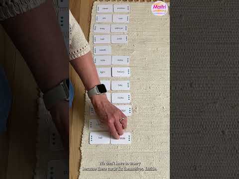 Montessori Antonyms Activity Self Correcting 