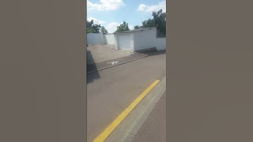 سورة البقرة للشيخ المنشاوي(القرآن الكريم)جمعة مباركة على الجميع ❤