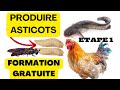 Comment produire les asticots de mouche soldat noire etape 1