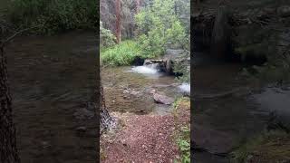 Road trip Day 2 and the Perfect camp Site near Pitkin Colorado #R1250GSA #Motocamping