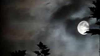 Download lagu Maywood - Lonely Nights