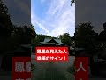 偶然見た人強運‼️おめでとうございます‼️最大吉兆鳳凰の姿見た人は幸運が近づいているサイン‼️見るだけで良いことが次々起こります✨️#shorts #short #地球船龍神丸