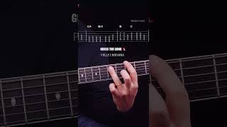 Polly Nirvana 👈 #guitar #guitarcover #guitarist #guitarcraft #music #guitarhouse #guitartutorial