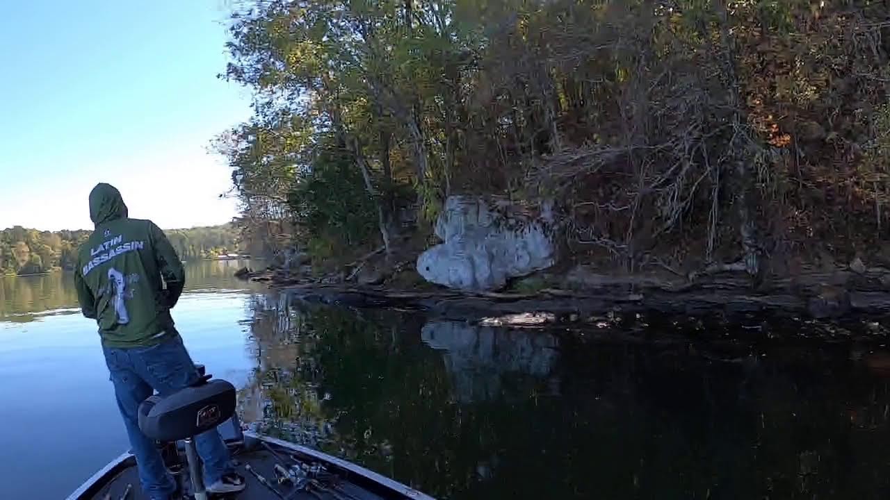 Live Lake Guntersville Bass fishing