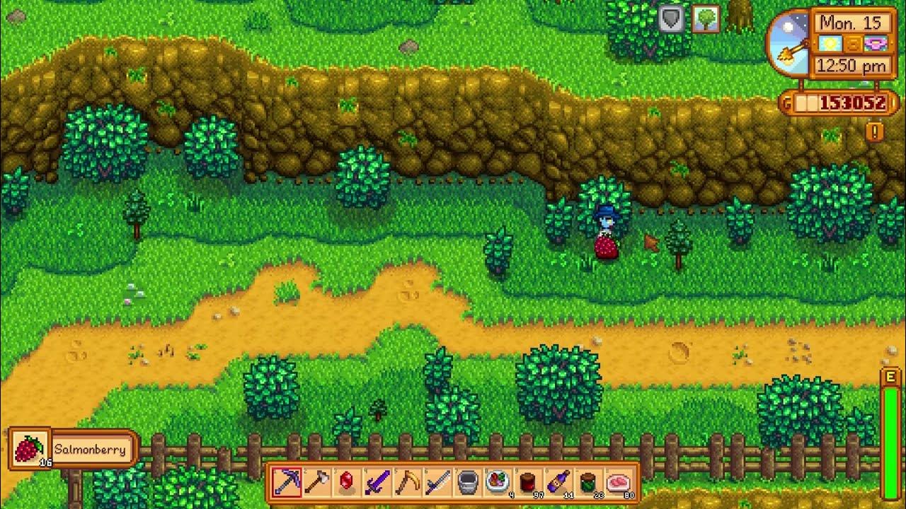 How to get Iridium Quality Berries Stardew Valley 1.5 YouTube