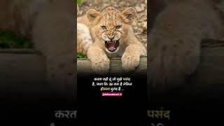 Motivational Hindi Quotes shorts hindi quotes life success inspiration shorts