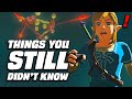 28 MORE Things You STILL Didn't Know In Zelda Breath Of The Wild