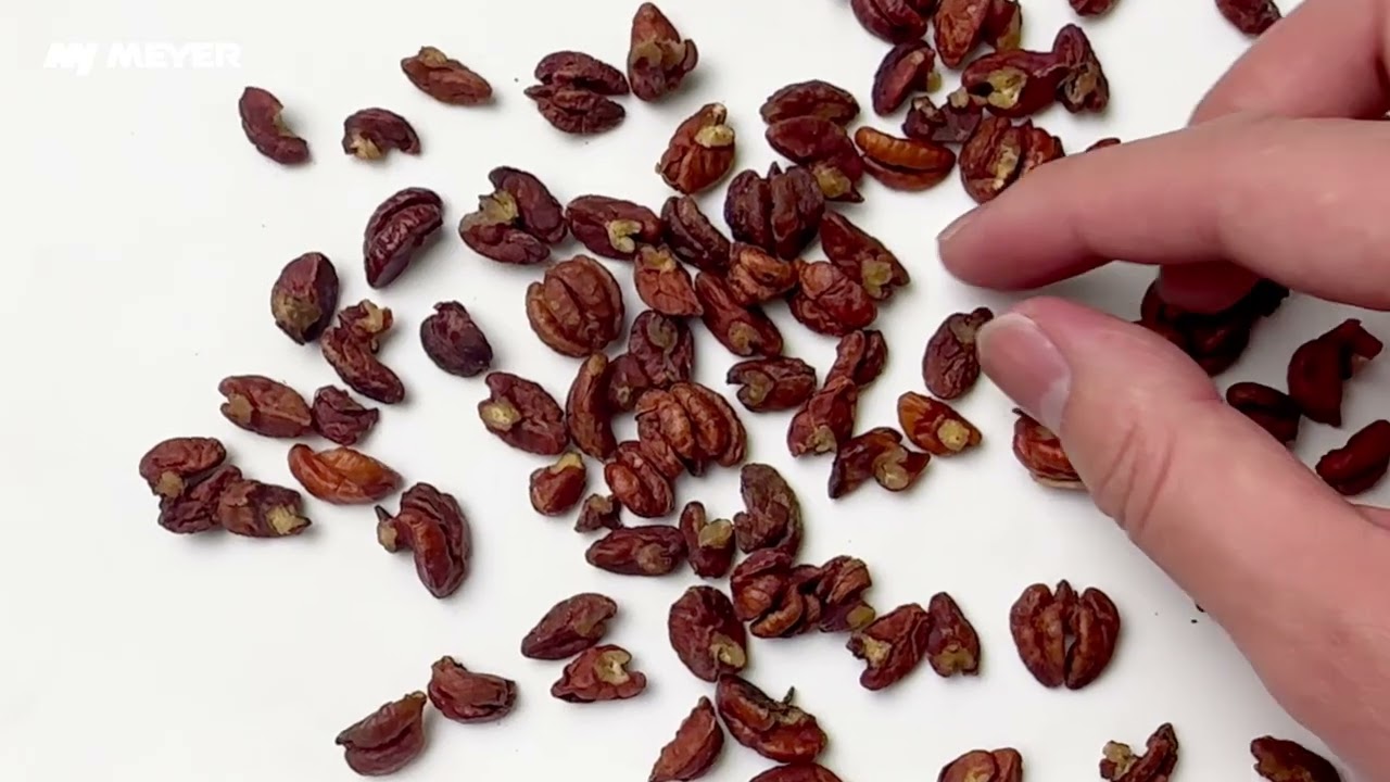 pecan sorting solutions