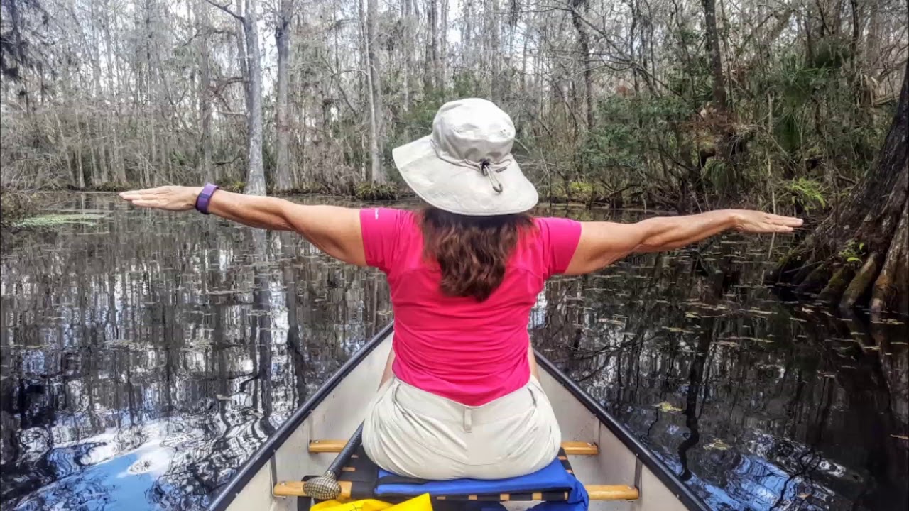 Canoe Hillsborough River🚣 0122018 YouTube