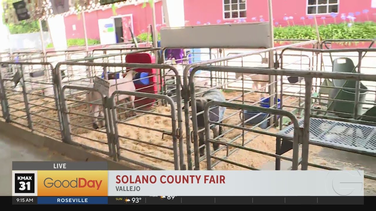 Solano county fair tickets (91) foto