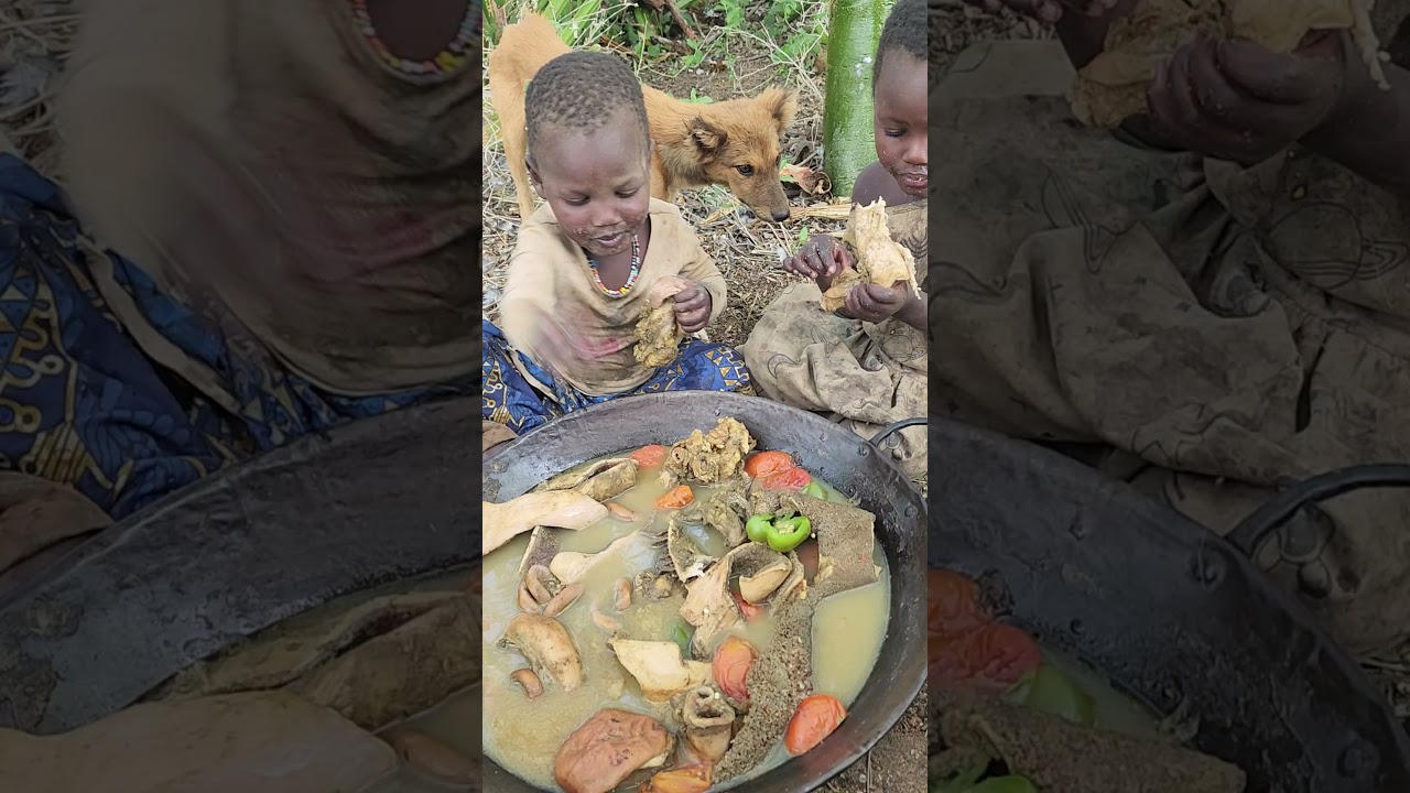 daily life adventures 