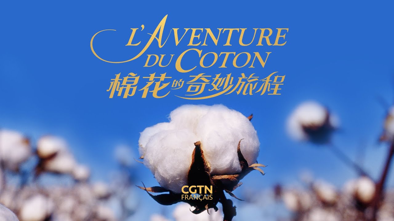 L’aventure du coton