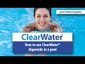 How To Use Algaecide In A Pool