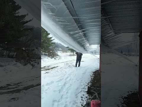 Satisfactory snow removal operation #satisfyling #asmr #snow #ice #fyp #oddlysatisfying