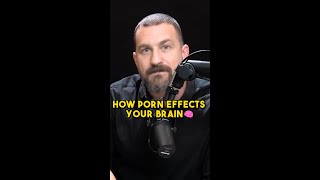 Effect of Porn on Your Brain🧠😧 | Dr Andrew Huberman #shorts  #youtubeshorts  #andrewhuberman