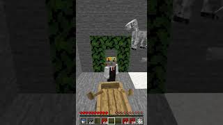 4,563 Iq Minecraft Oyuncusu