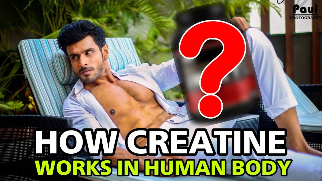 How Creatine works in Human Body … YouTube
