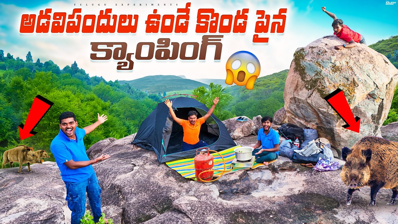 Surviving On Top of Wild Boars Mountain - Extreme Overnight Survival Challenge 🔥🔥 Telugu Experiments