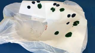 SWPPP Watershed Lab Demo