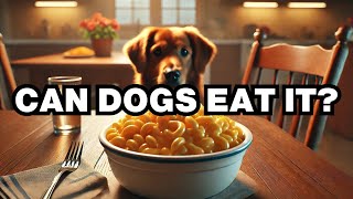 Can Dogs Eat Mac And Cheese? Explained