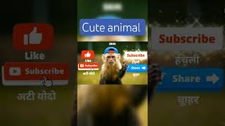 My Monkey Wants To Be A Youtuber You Have To See This