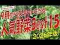 9月植え人気野菜ランキングBest15（2026年最新版）